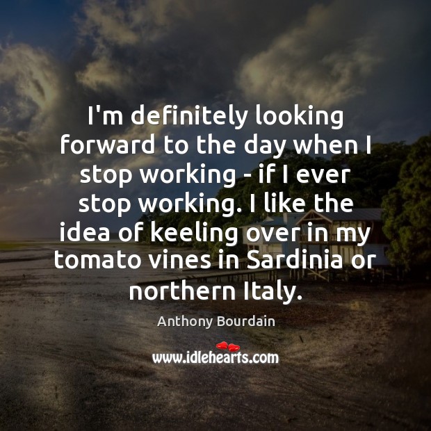 I’m definitely looking forward to the day when I stop working – Anthony Bourdain Picture Quote