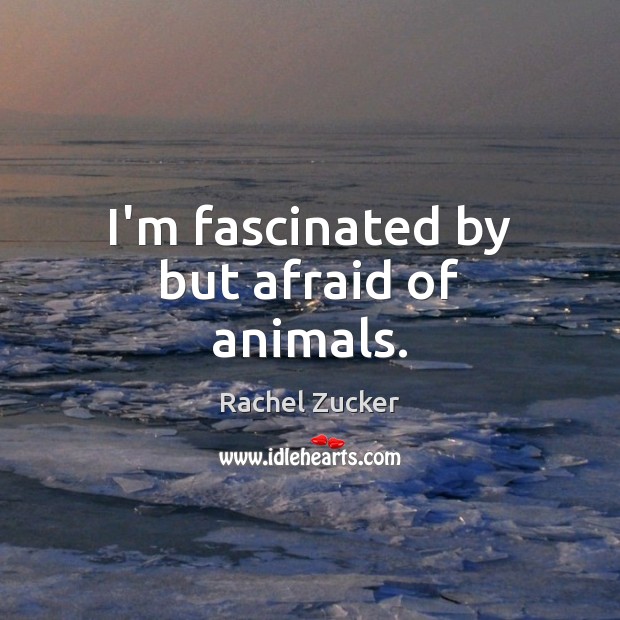 I’m fascinated by but afraid of animals. Rachel Zucker Picture Quote