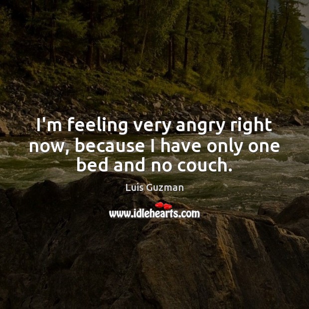 I’m feeling very angry right now, because I have only one bed and no couch. Luis Guzman Picture Quote
