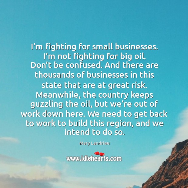 I’m fighting for small businesses. I’m not fighting for big oil. Don’t be confused. Mary Landrieu Picture Quote