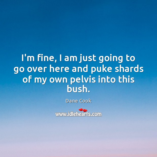 I’m fine, I am just going to go over here and puke shards of my own pelvis into this bush. Dane Cook Picture Quote