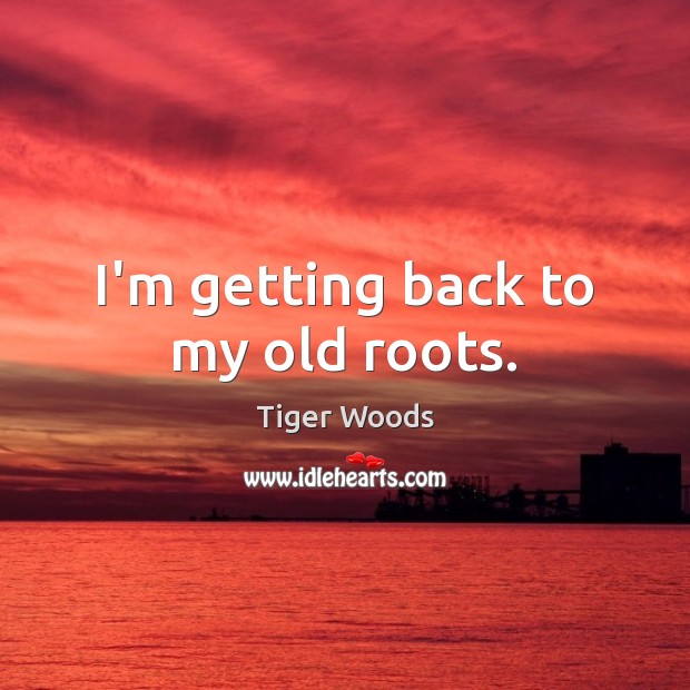 I’m getting back to my old roots. Tiger Woods Picture Quote