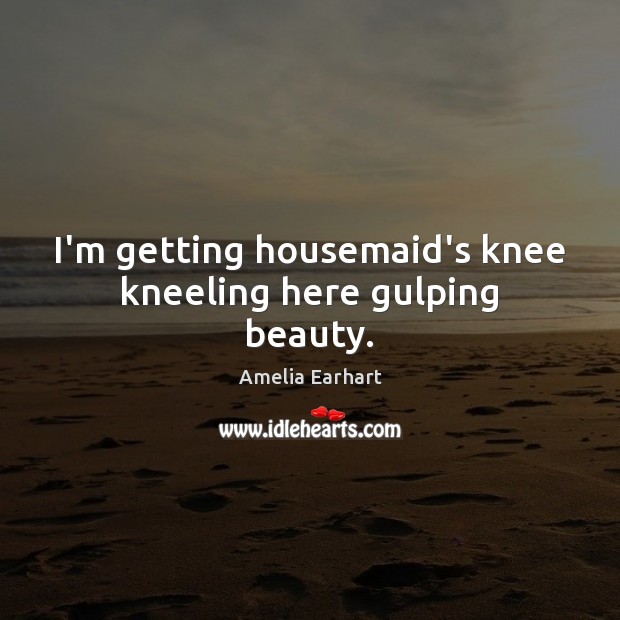 I’m getting housemaid’s knee kneeling here gulping beauty. Amelia Earhart Picture Quote