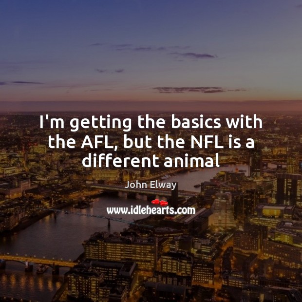 I’m getting the basics with the AFL, but the NFL is a different animal John Elway Picture Quote