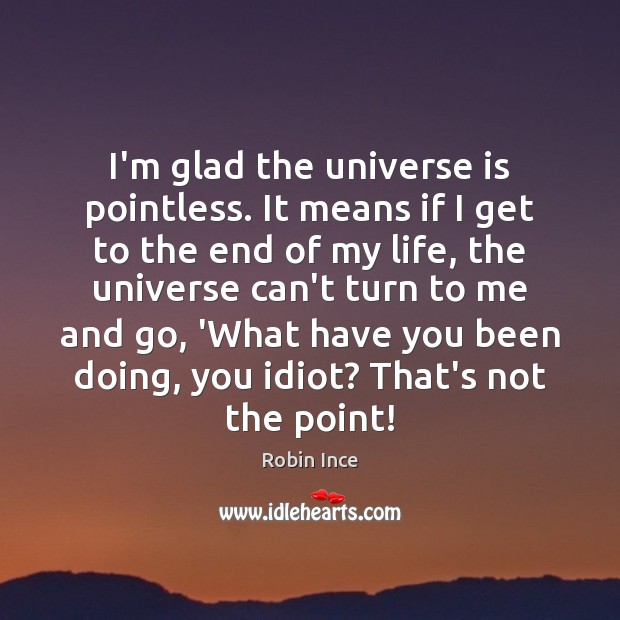 I’m glad the universe is pointless. It means if I get to Robin Ince Picture Quote