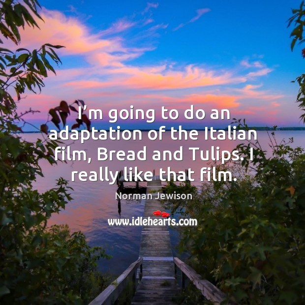 I’m going to do an adaptation of the italian film, bread and tulips. I really like that film. Image