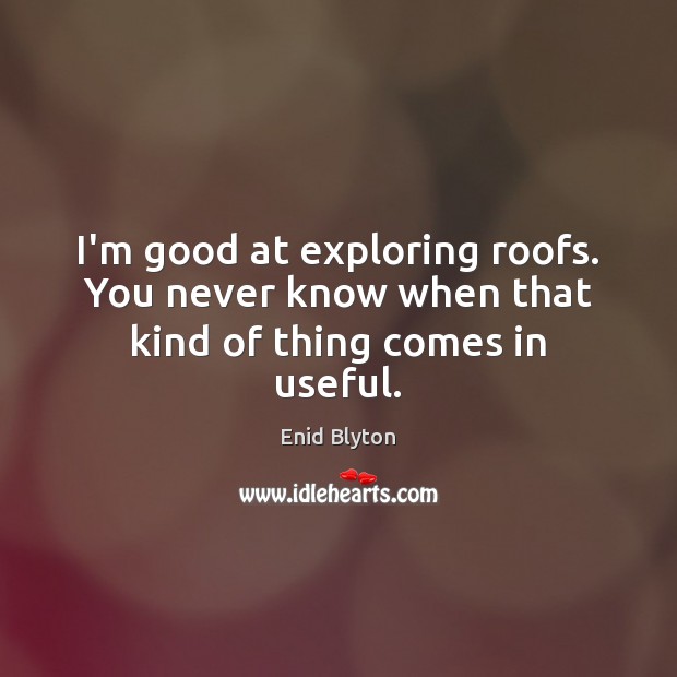 I’m good at exploring roofs. You never know when that kind of thing comes in useful. Enid Blyton Picture Quote