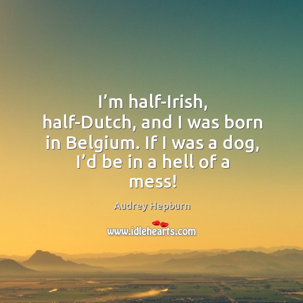 I’m half-irish, half-dutch, and I was born in belgium. If I was a dog, I’d be in a hell of a mess! Audrey Hepburn Picture Quote