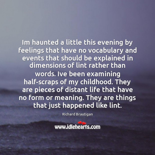 Im haunted a little this evening by feelings that have no vocabulary Richard Brautigan Picture Quote