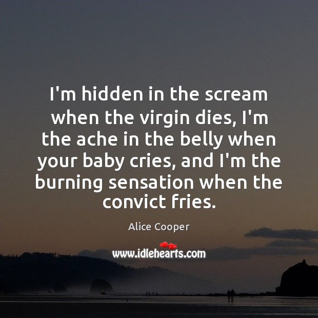 I’m hidden in the scream when the virgin dies, I’m the ache Alice Cooper Picture Quote