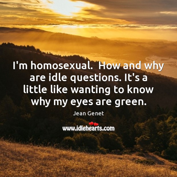 I’m homosexual.  How and why are idle questions. It’s a little like Jean Genet Picture Quote