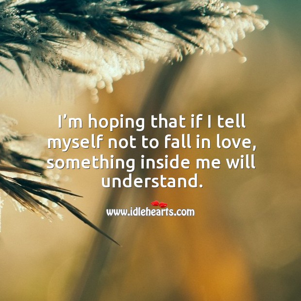 I’m hoping that if I tell myself not to fall in love, something inside me will understand. Image
