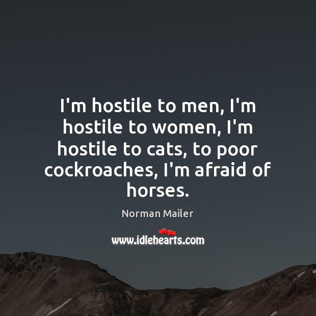 I’m hostile to men, I’m hostile to women, I’m hostile to cats, Norman Mailer Picture Quote