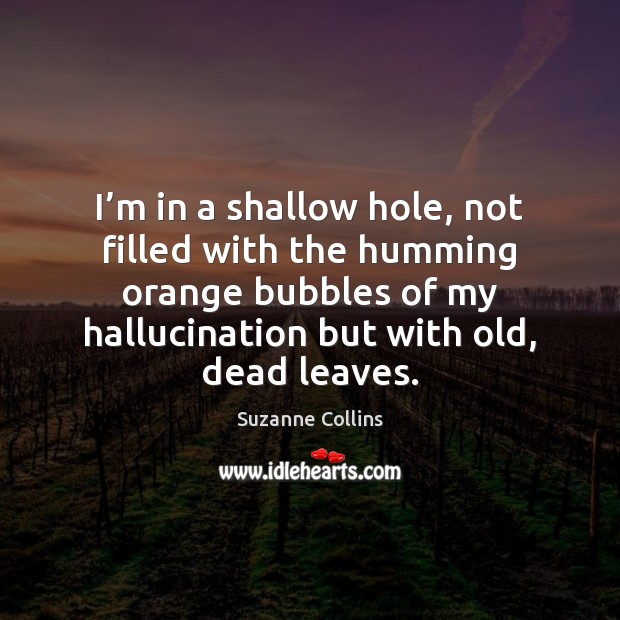 I’m in a shallow hole, not filled with the humming orange Suzanne Collins Picture Quote