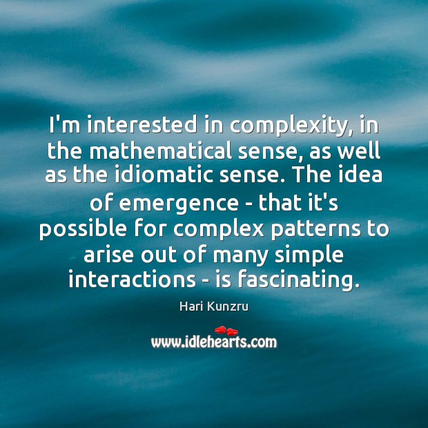 I’m interested in complexity, in the mathematical sense, as well as the Hari Kunzru Picture Quote