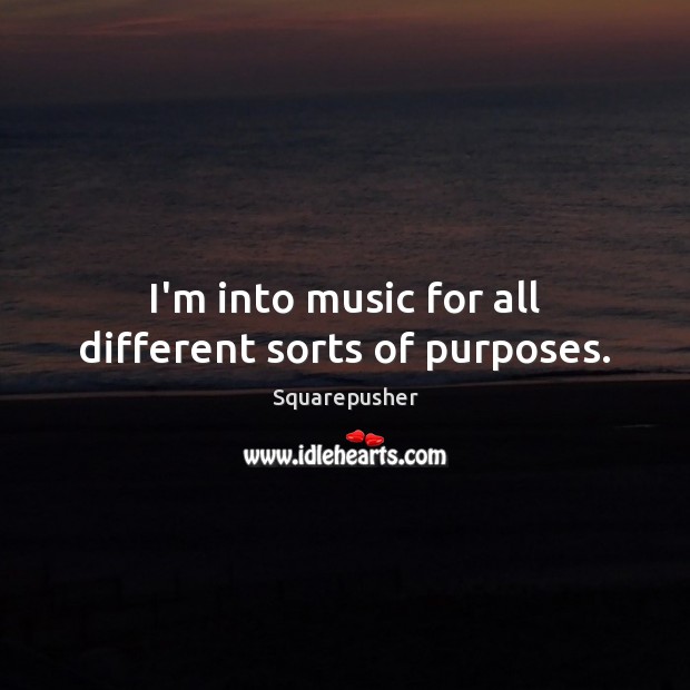 I’m into music for all different sorts of purposes. Squarepusher Picture Quote