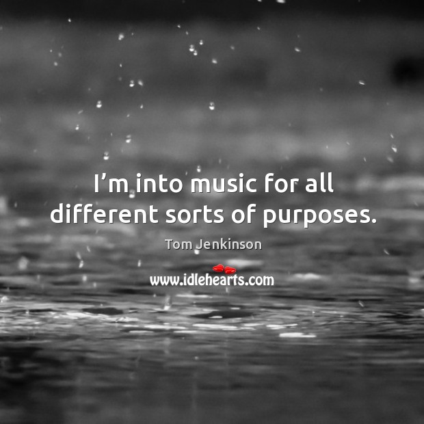 I’m into music for all different sorts of purposes. Tom Jenkinson Picture Quote