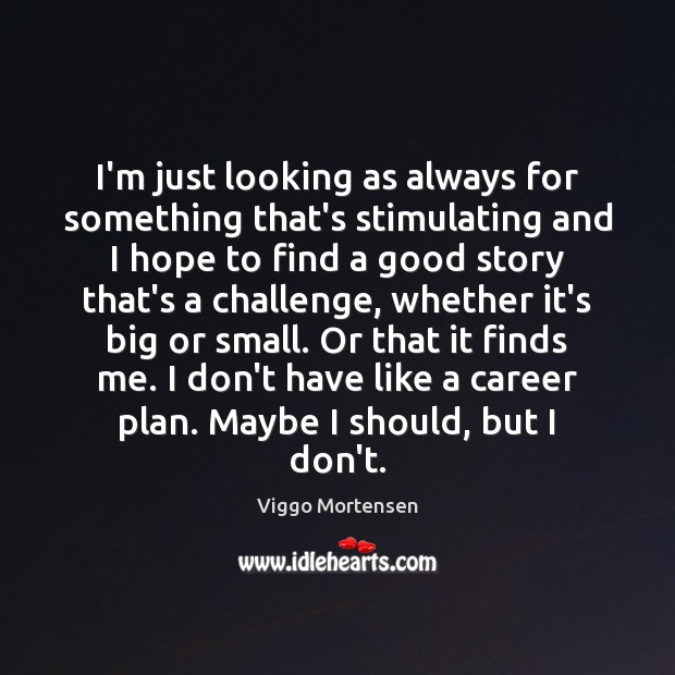 I’m just looking as always for something that’s stimulating and I hope Viggo Mortensen Picture Quote