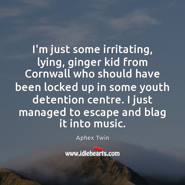 I’m just some irritating, lying, ginger kid from Cornwall who should have Aphex Twin Picture Quote