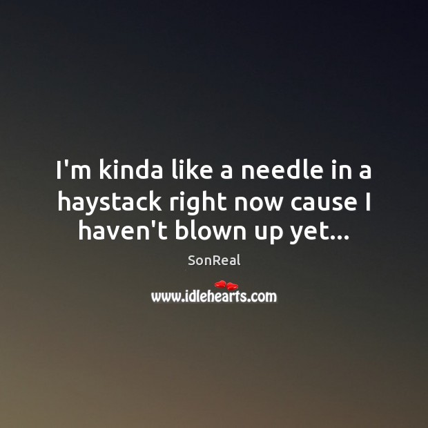 I’m kinda like a needle in a haystack right now cause I haven’t blown up yet… SonReal Picture Quote