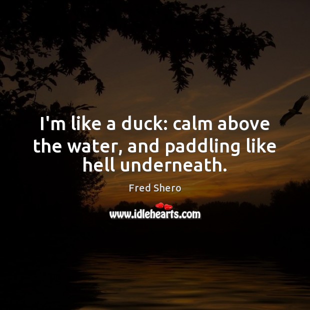 I’m like a duck: calm above the water, and paddling like hell underneath. Image
