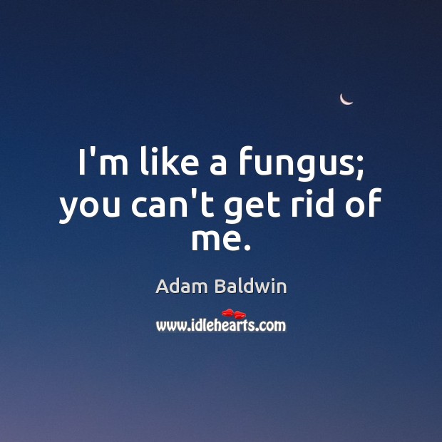 I’m like a fungus; you can’t get rid of me. Adam Baldwin Picture Quote