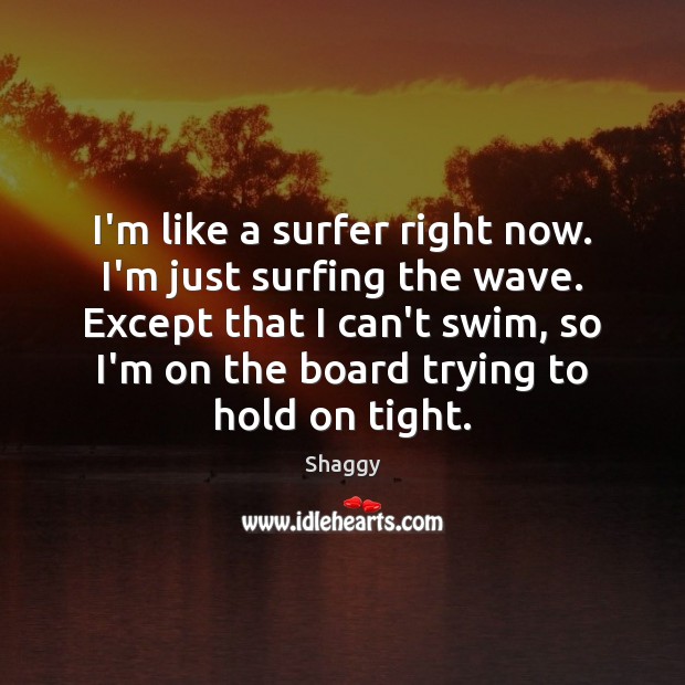 I’m like a surfer right now. I’m just surfing the wave. Except Shaggy Picture Quote