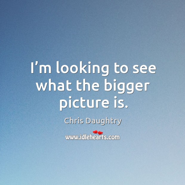 I’m looking to see what the bigger picture is. Chris Daughtry Picture Quote