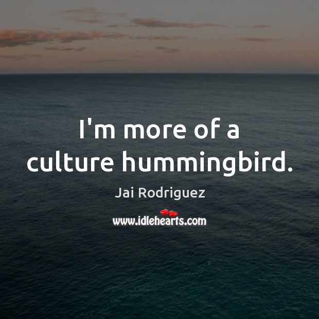 I’m more of a culture hummingbird. Jai Rodriguez Picture Quote