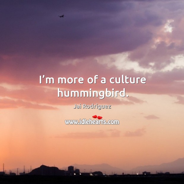 I’m more of a culture hummingbird. Jai Rodriguez Picture Quote