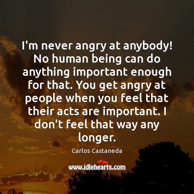 I’m never angry at anybody! No human being can do anything important Carlos Castaneda Picture Quote
