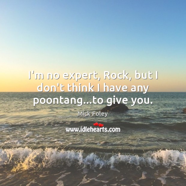 I’m no expert, Rock, but I don’t think I have any poontang…to give you. Mick Foley Picture Quote
