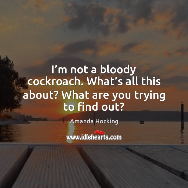 I’m not a bloody cockroach. What’s all this about? What are you trying to find out? Amanda Hocking Picture Quote