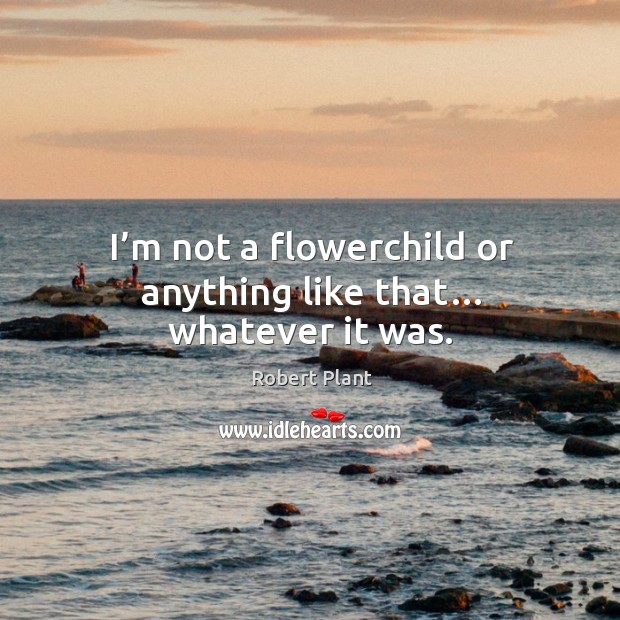 I’m not a flowerchild or anything like that… whatever it was. Image