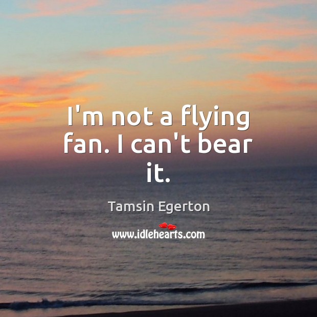I’m not a flying fan. I can’t bear it. Image