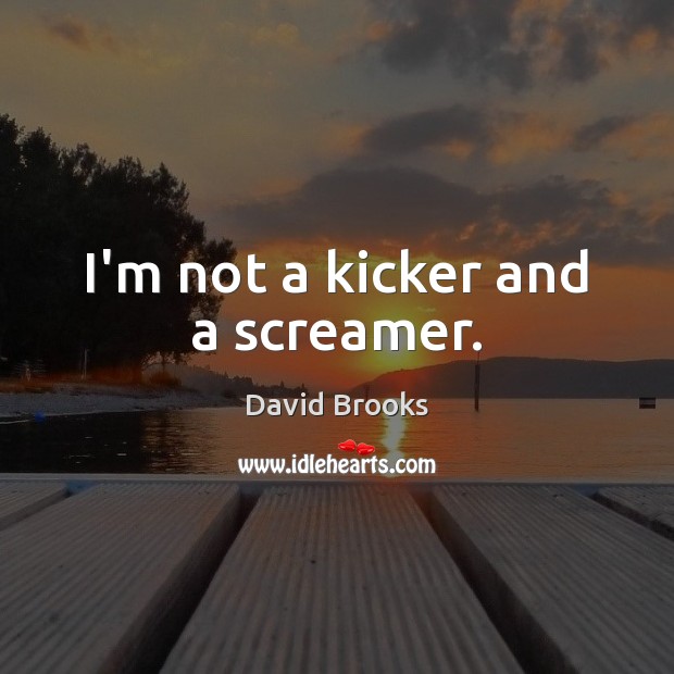 I’m not a kicker and a screamer. David Brooks Picture Quote