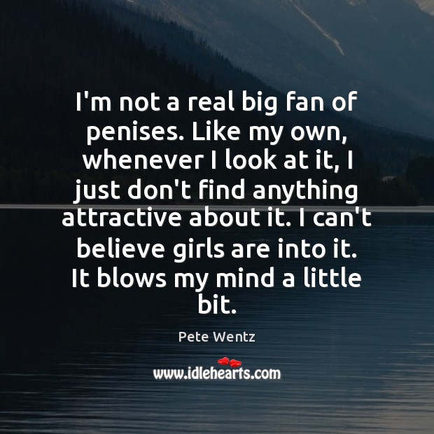 I’m not a real big fan of penises. Like my own, whenever Pete Wentz Picture Quote