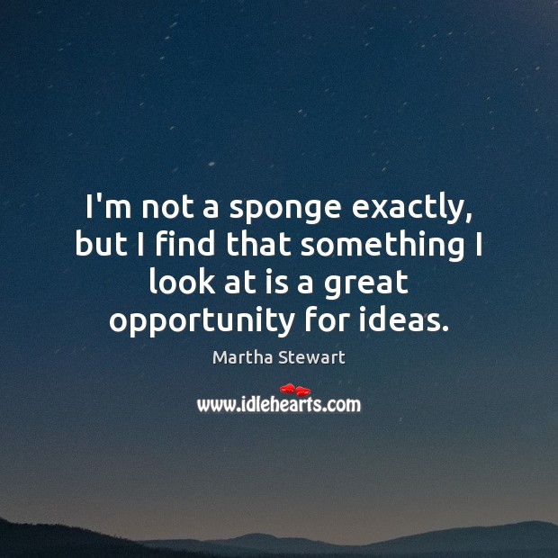 I’m not a sponge exactly, but I find that something I look Martha Stewart Picture Quote