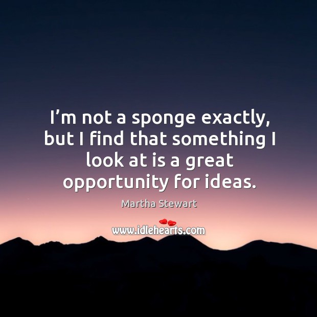 I’m not a sponge exactly, but I find that something I look at is a great opportunity for ideas. Martha Stewart Picture Quote