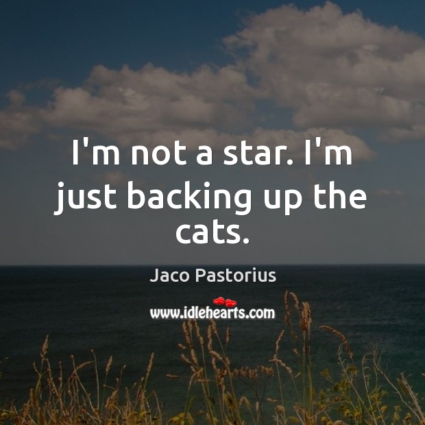 I’m not a star. I’m just backing up the cats. Jaco Pastorius Picture Quote