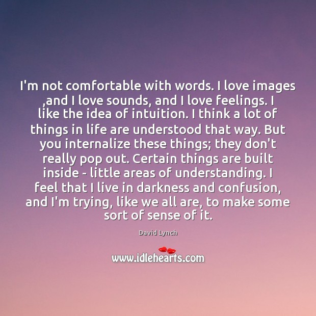 I’m not comfortable with words. I love images ,and I love sounds, David Lynch Picture Quote