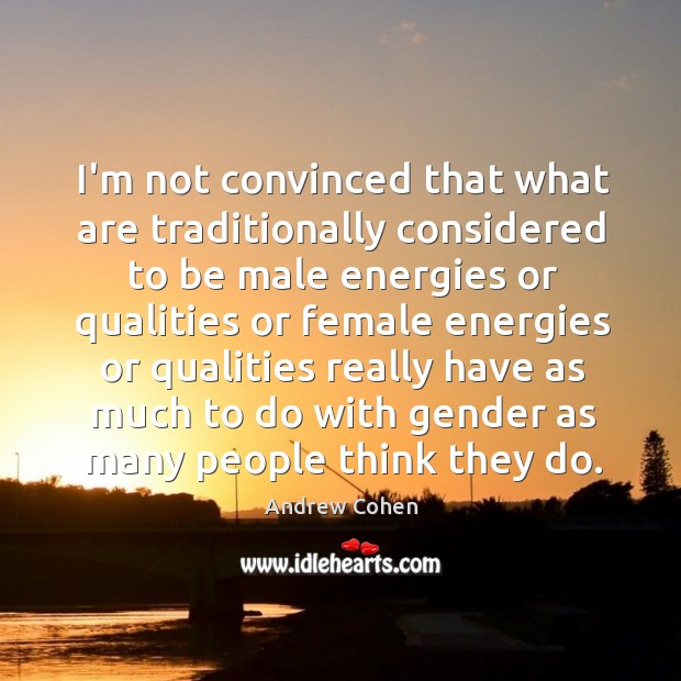 I’m not convinced that what are traditionally considered to be male energies Andrew Cohen Picture Quote