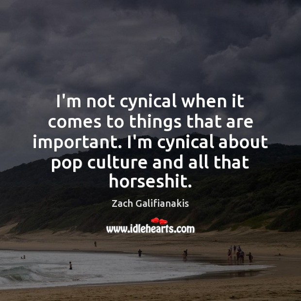 I’m not cynical when it comes to things that are important. I’m Zach Galifianakis Picture Quote