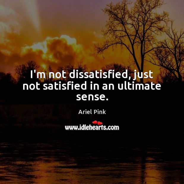 I’m not dissatisfied, just not satisfied in an ultimate sense. Ariel Pink Picture Quote