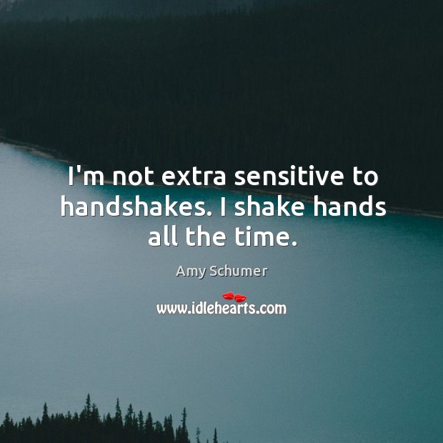 I’m not extra sensitive to handshakes. I shake hands all the time. Amy Schumer Picture Quote