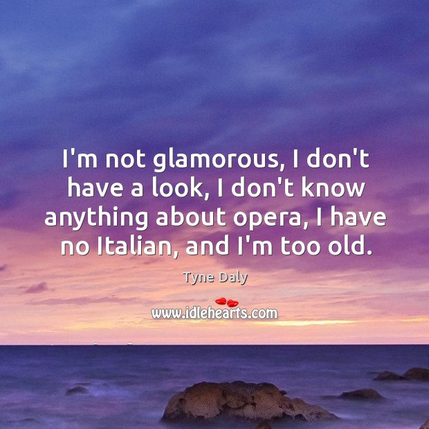 I’m not glamorous, I don’t have a look, I don’t know anything Tyne Daly Picture Quote