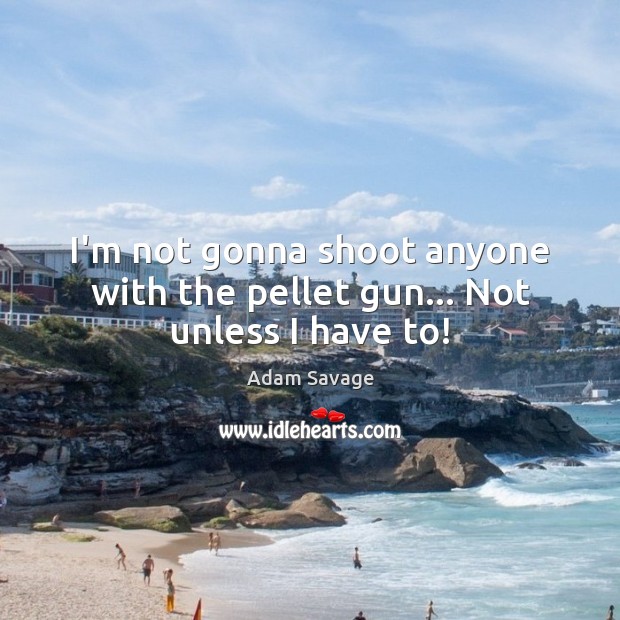 I’m not gonna shoot anyone with the pellet gun… Not unless I have to! Adam Savage Picture Quote