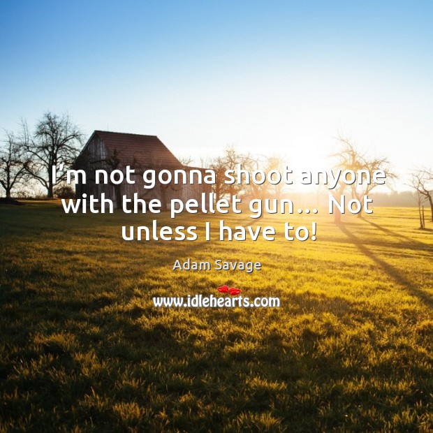 I’m not gonna shoot anyone with the pellet gun… not unless I have to! Adam Savage Picture Quote