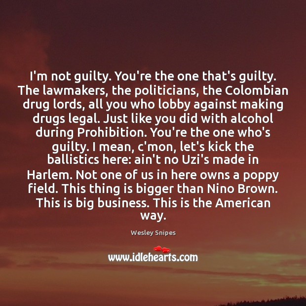 I’m not guilty. You’re the one that’s guilty. The lawmakers, the politicians, Wesley Snipes Picture Quote