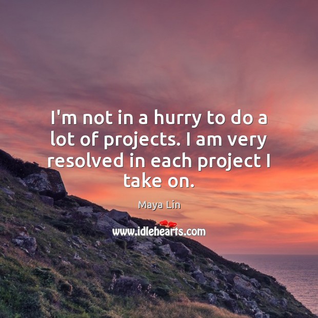 I’m not in a hurry to do a lot of projects. I am very resolved in each project I take on. Maya Lin Picture Quote
